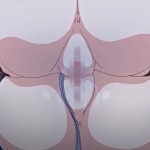 Thumbnail of post image 086